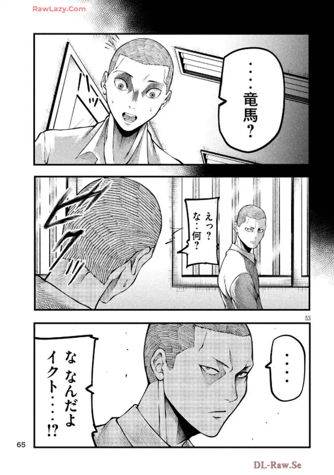 P53