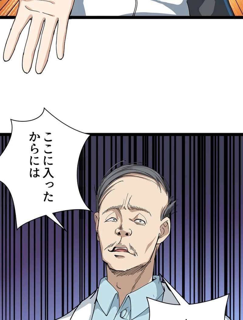 P48
