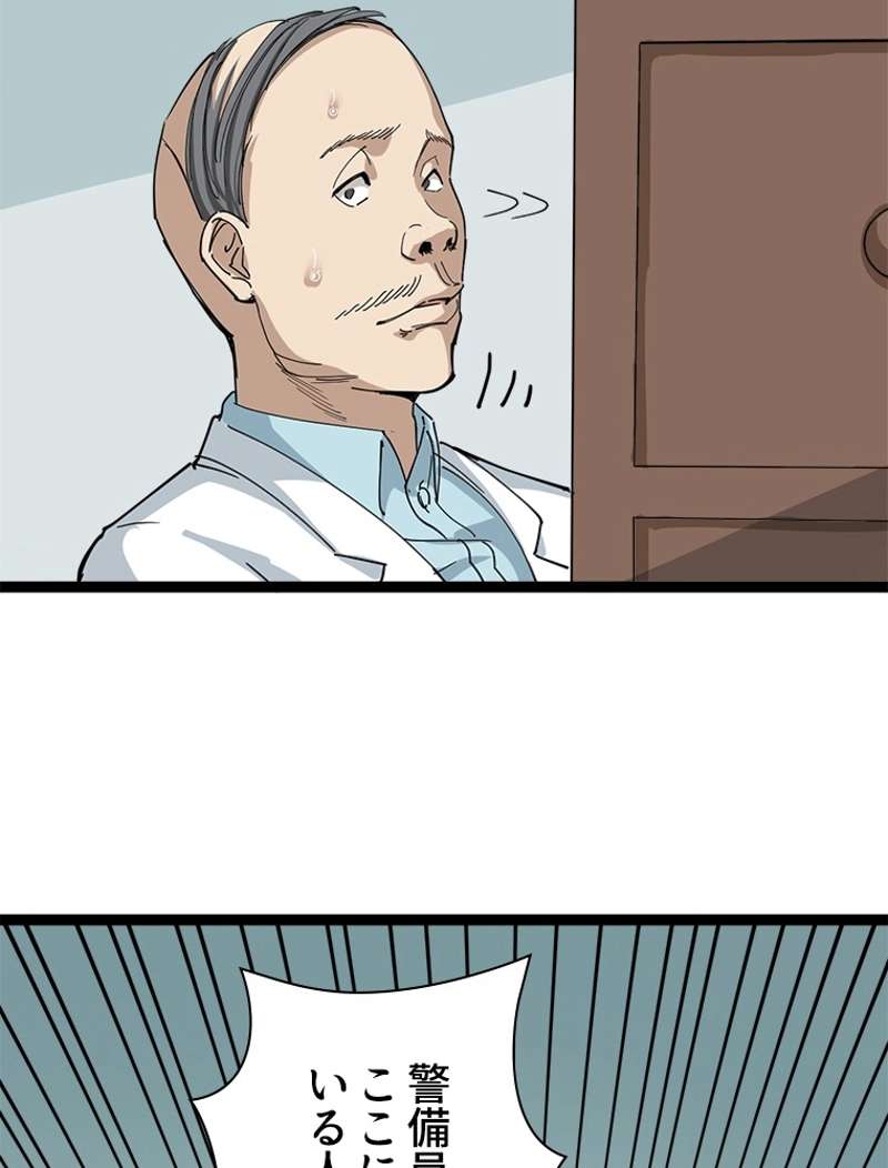 P53