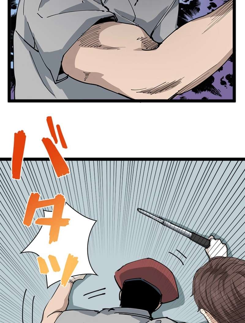 P81