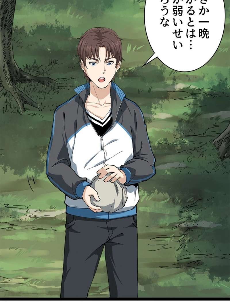 P26