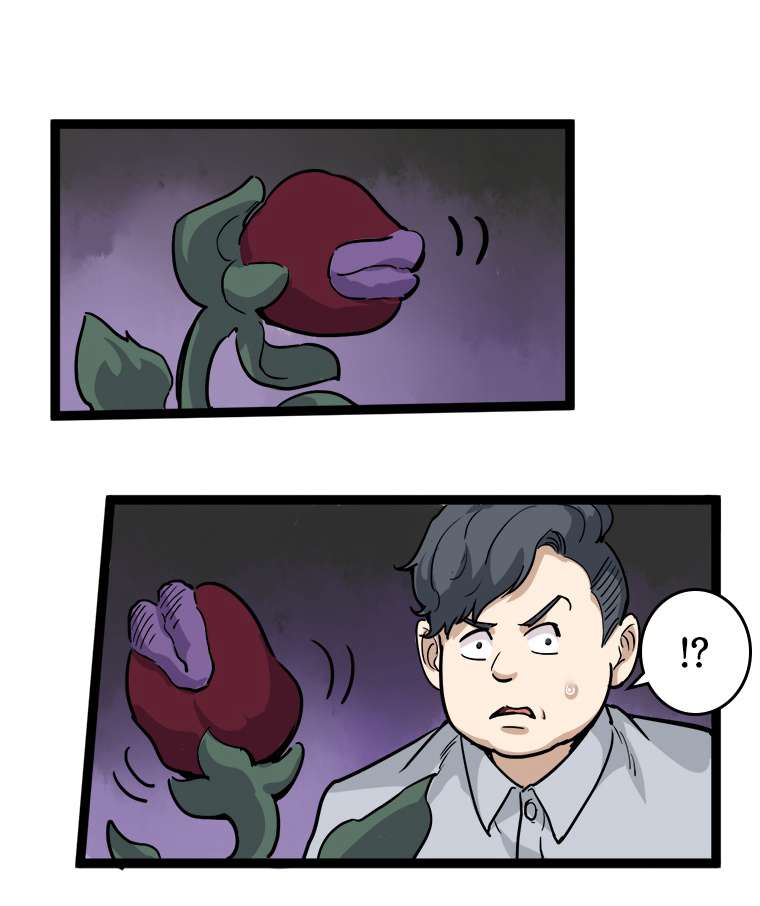 P48