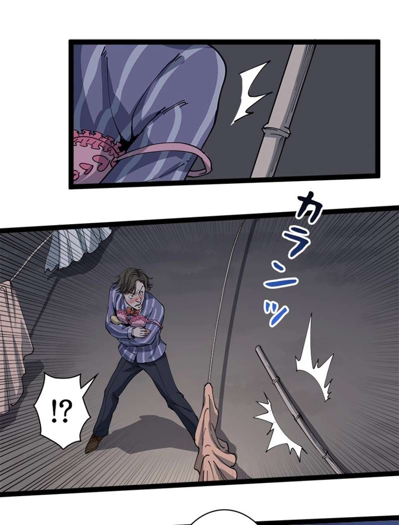 P66