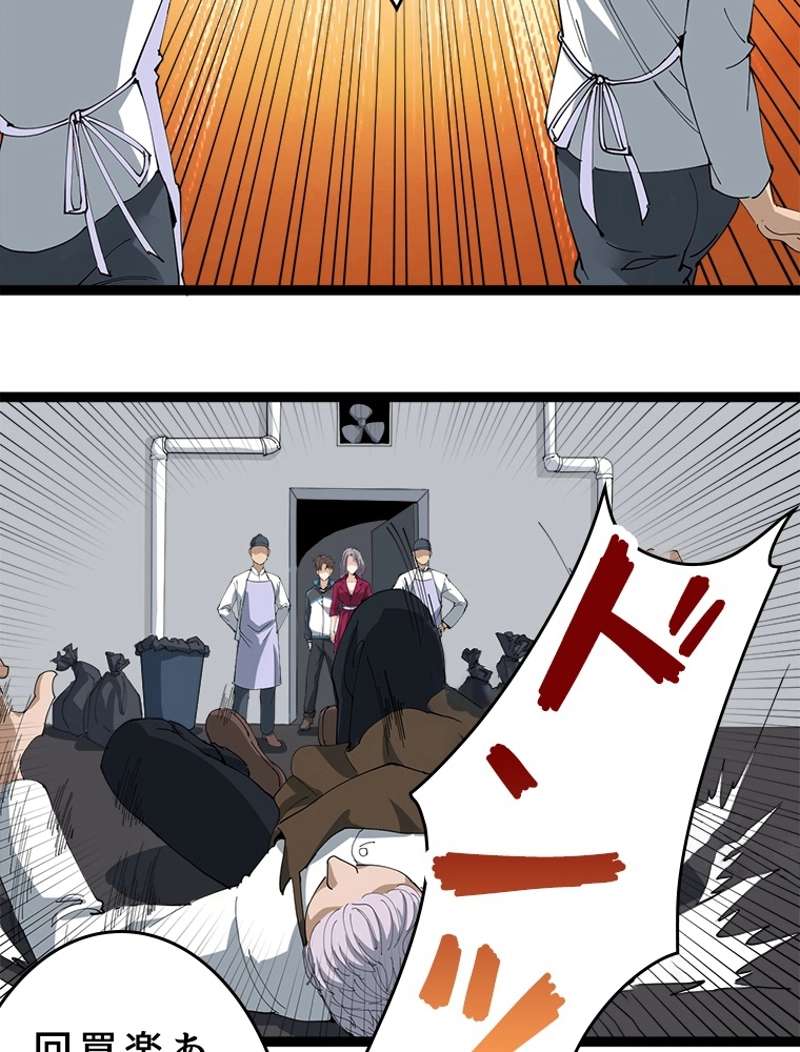 P24