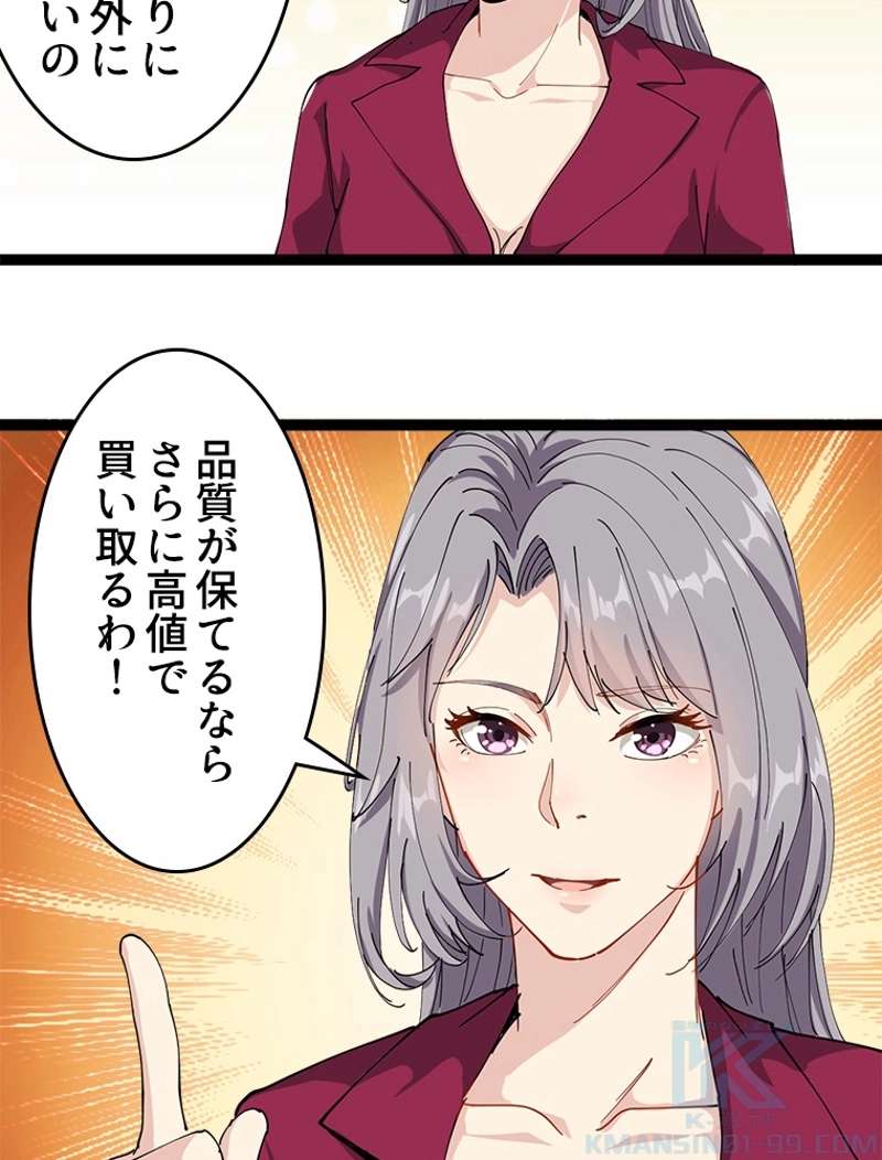 P58