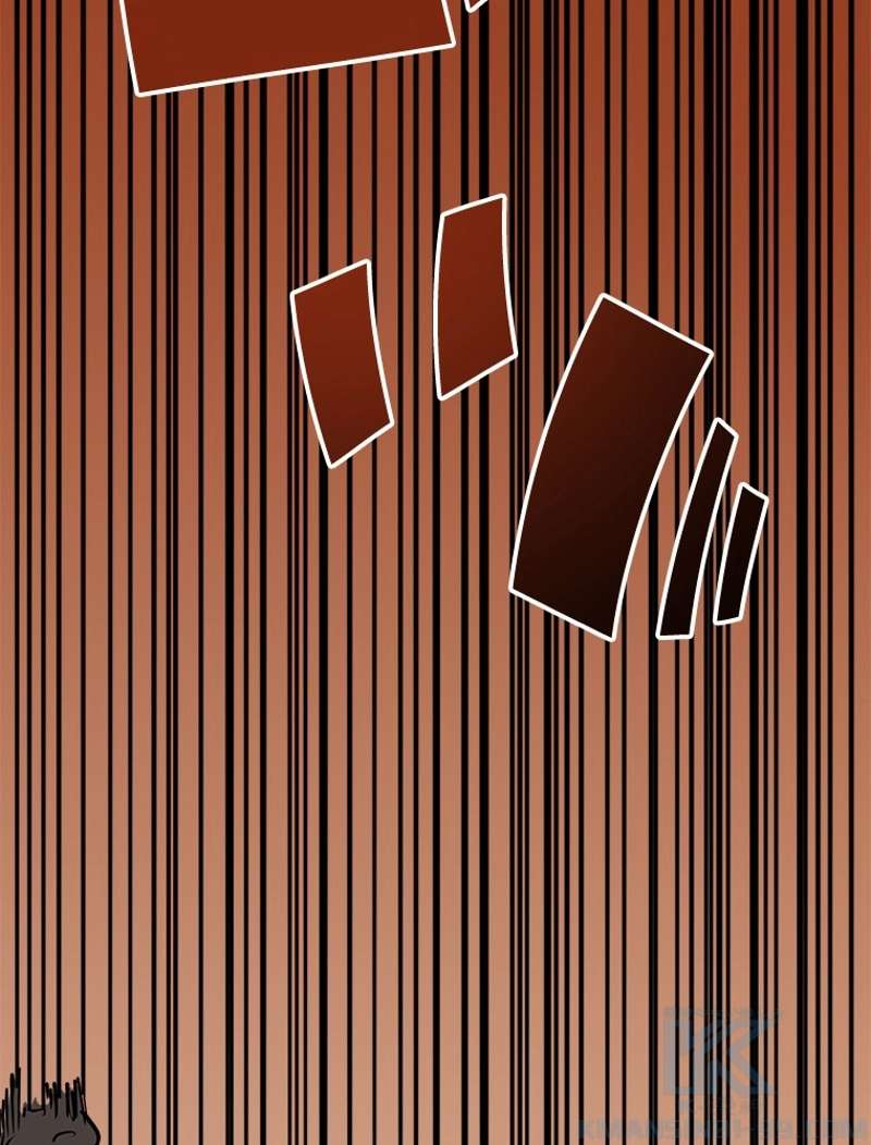 P61