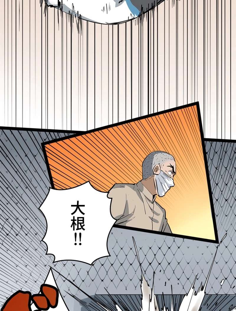 P63