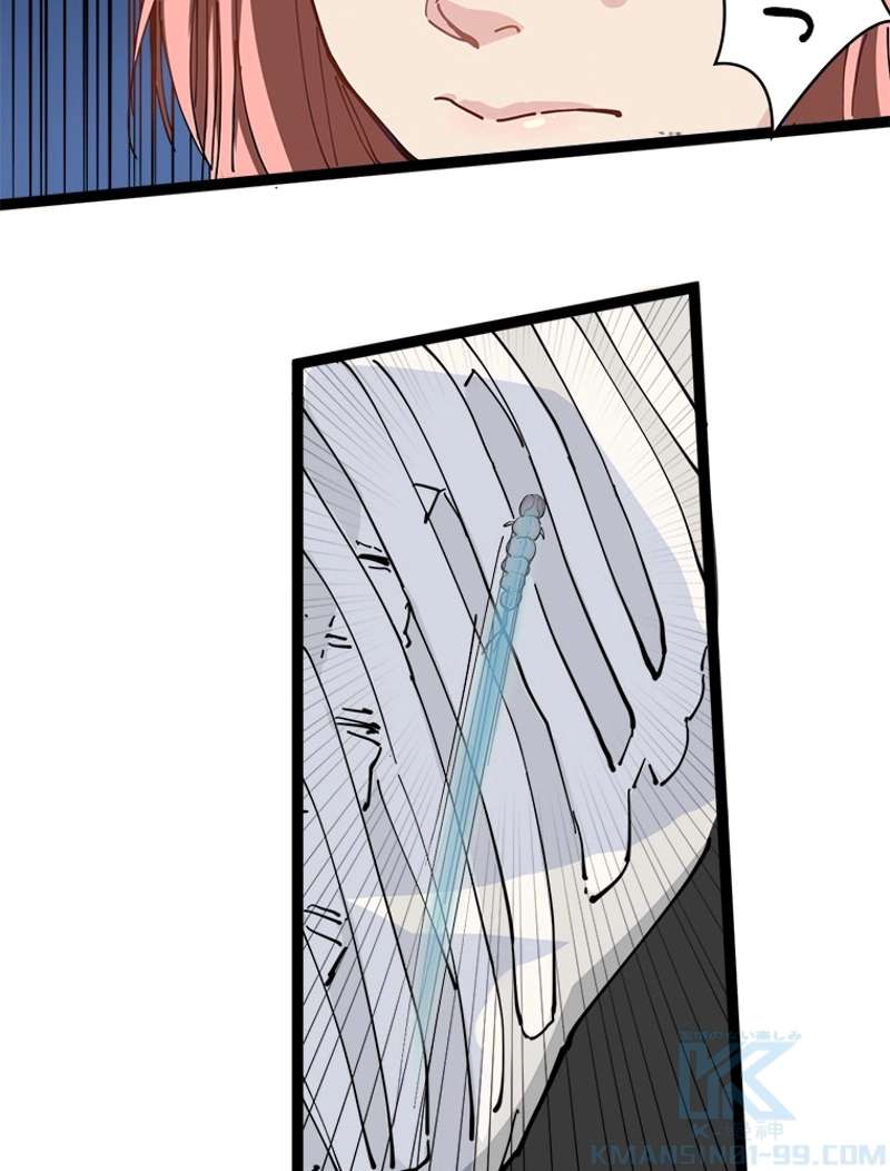 P64