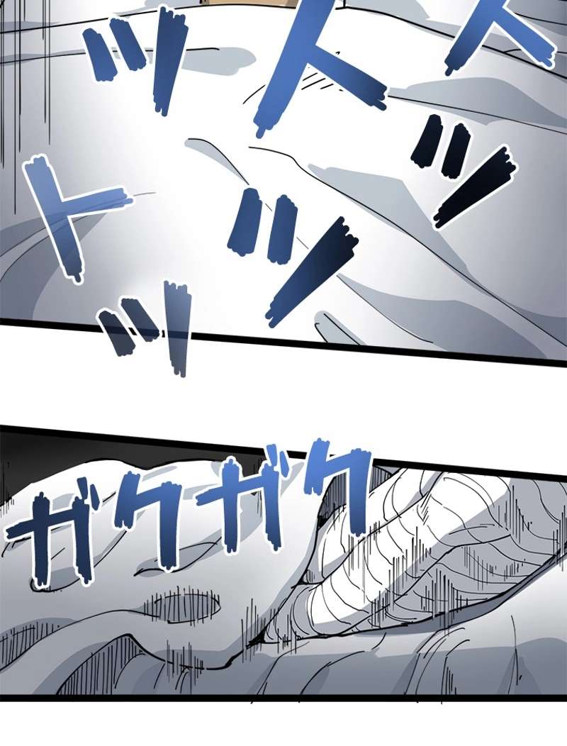 P66