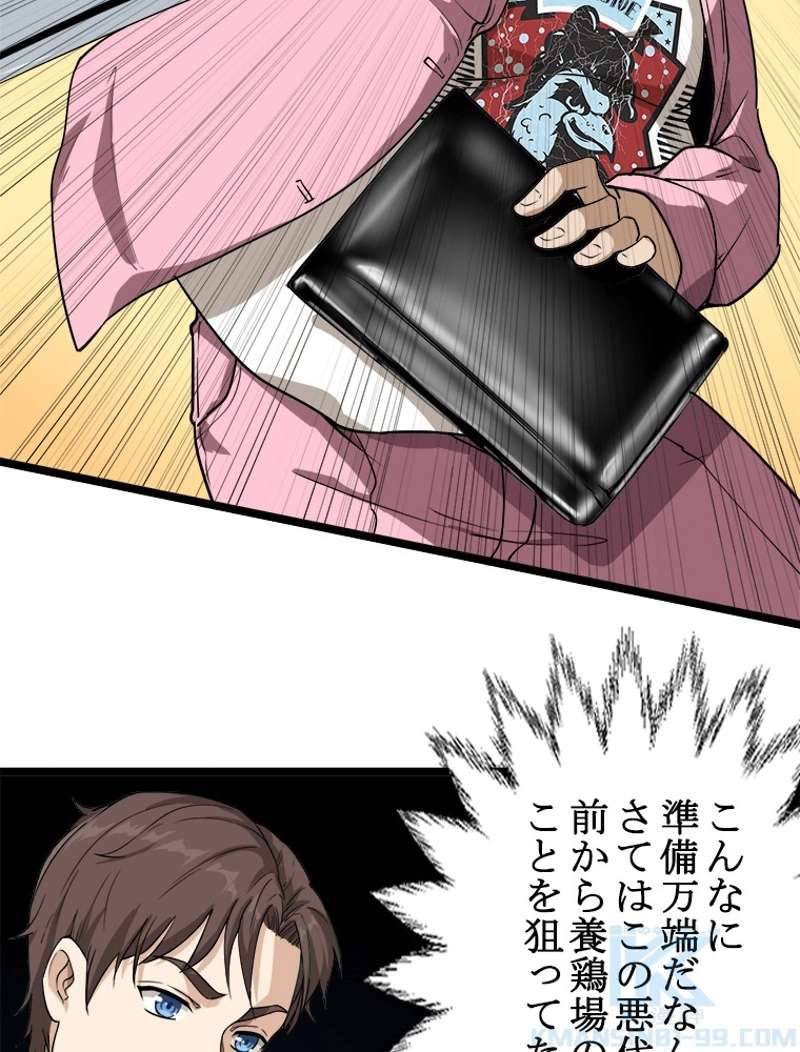P58