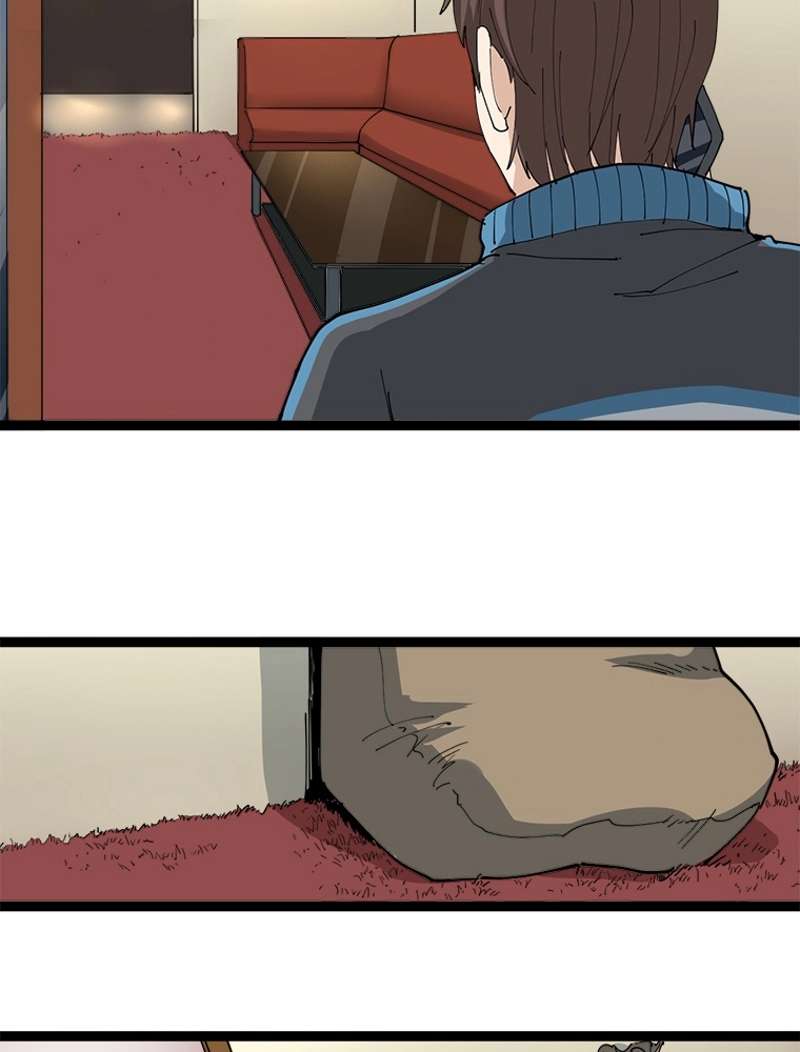 P62