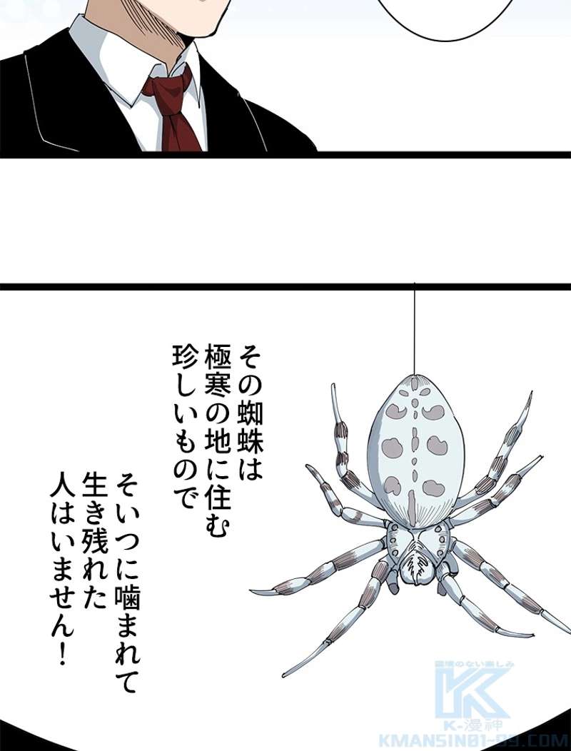 P58