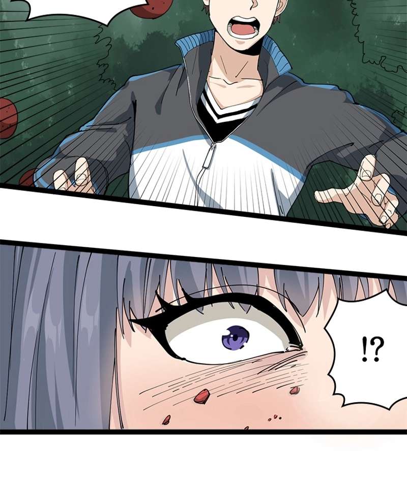 P84