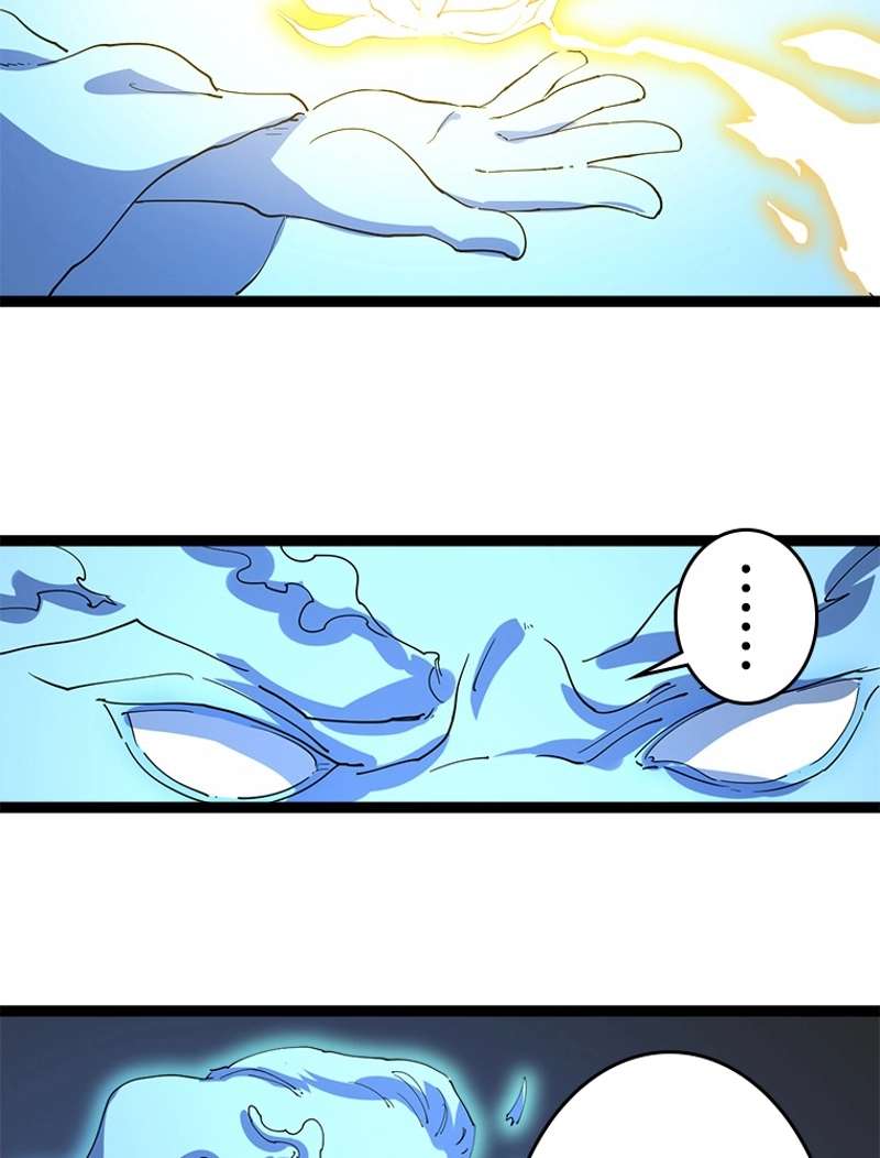 P63