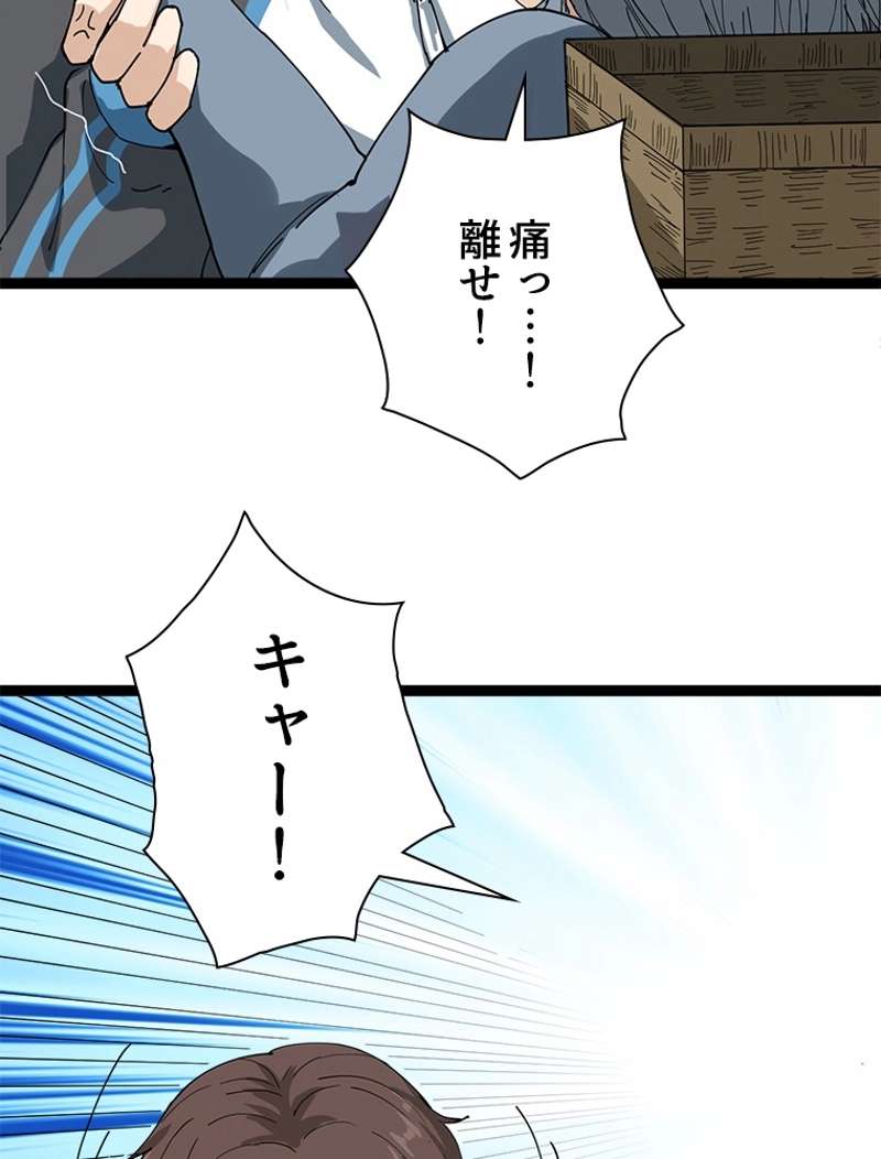 P66