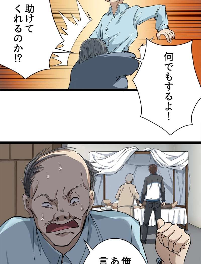P53