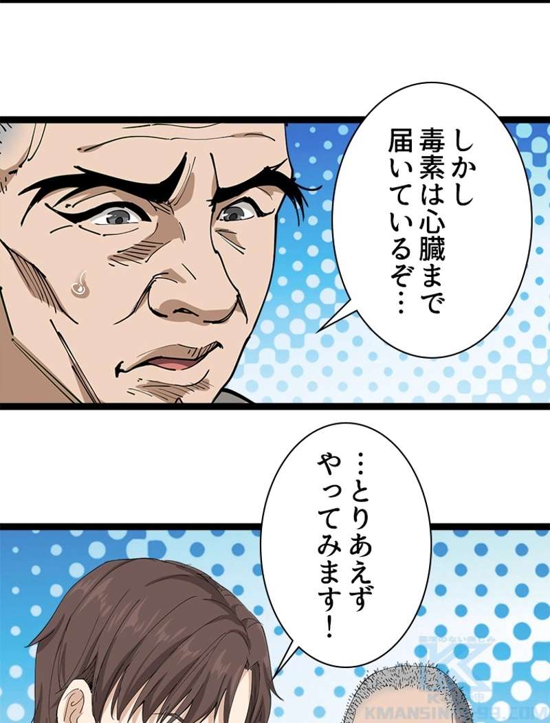 P61