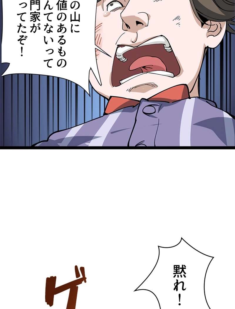 P66