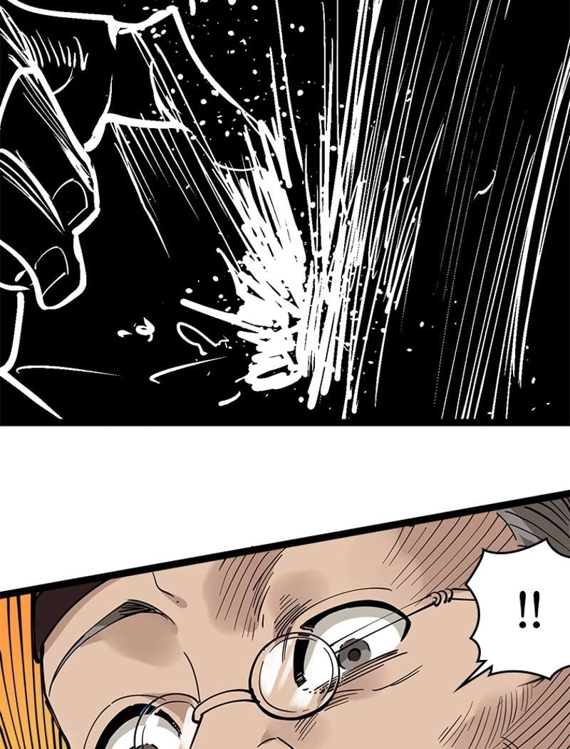 P63