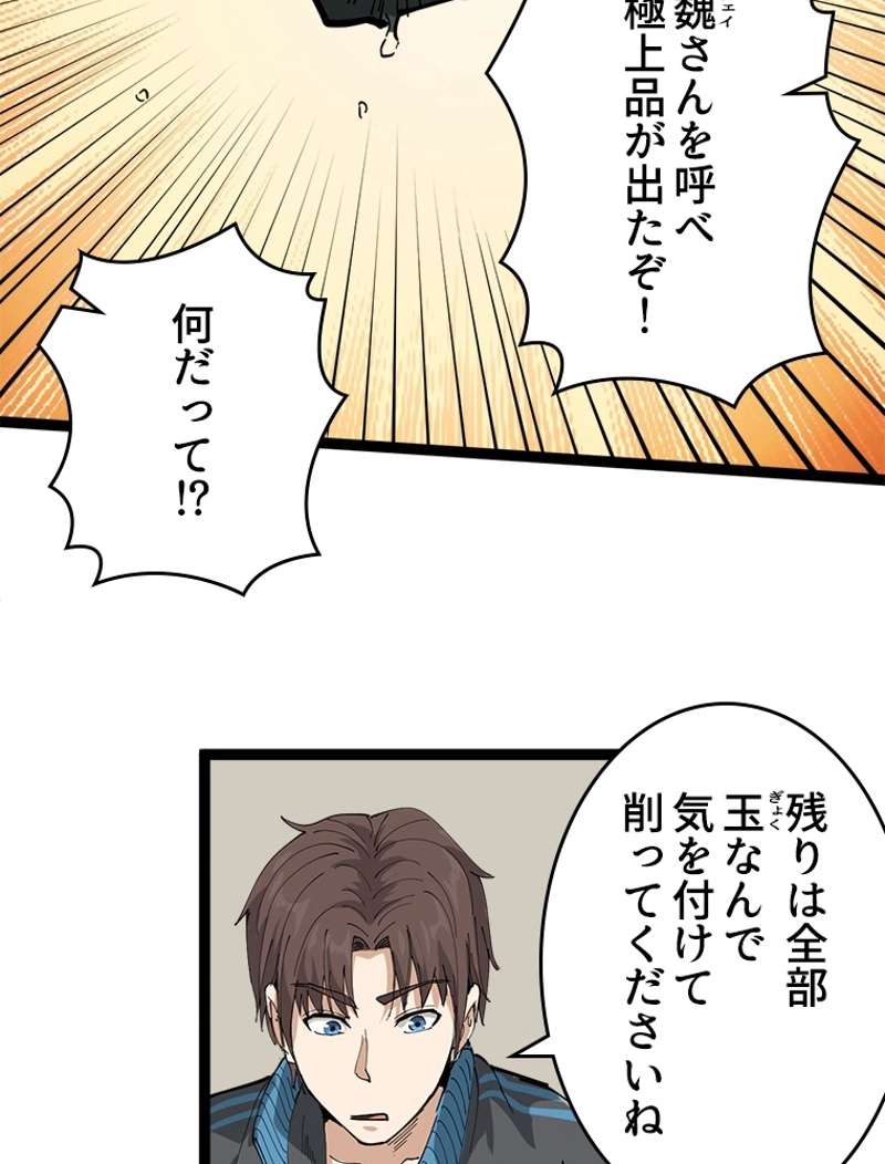 P66