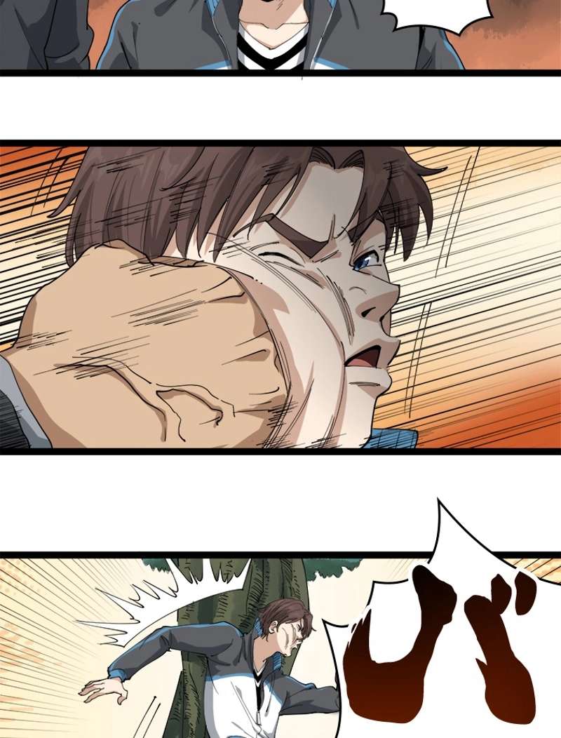 P41