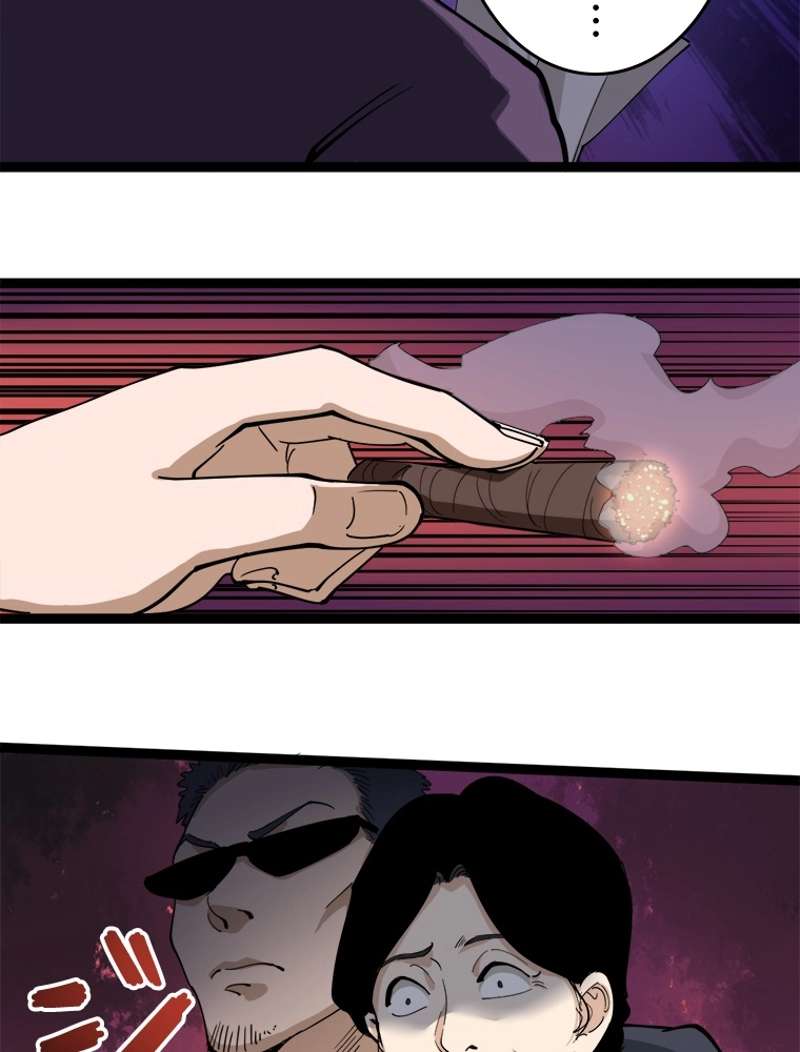 P66