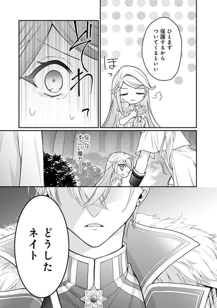 P42