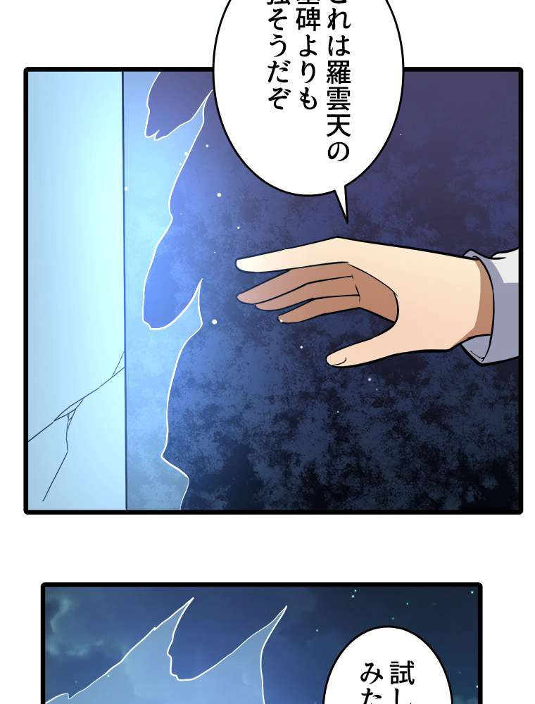 P48