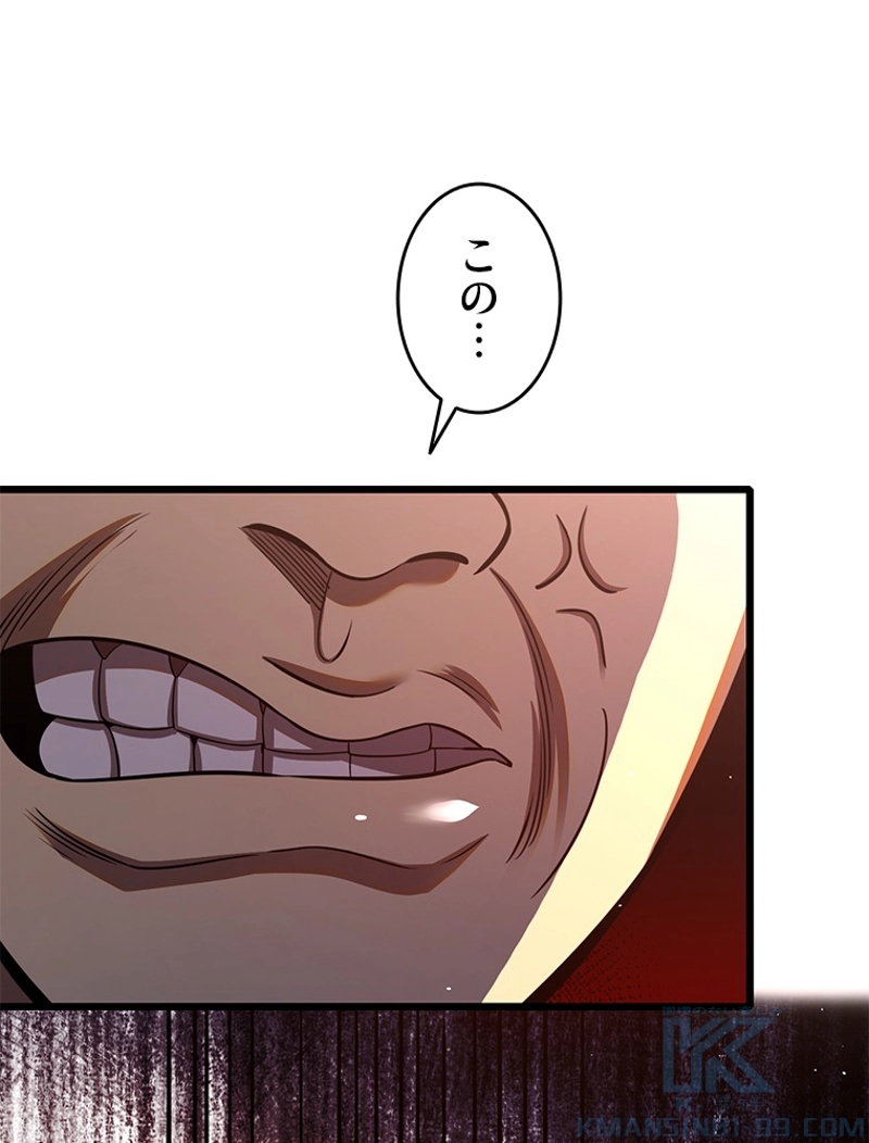 P58
