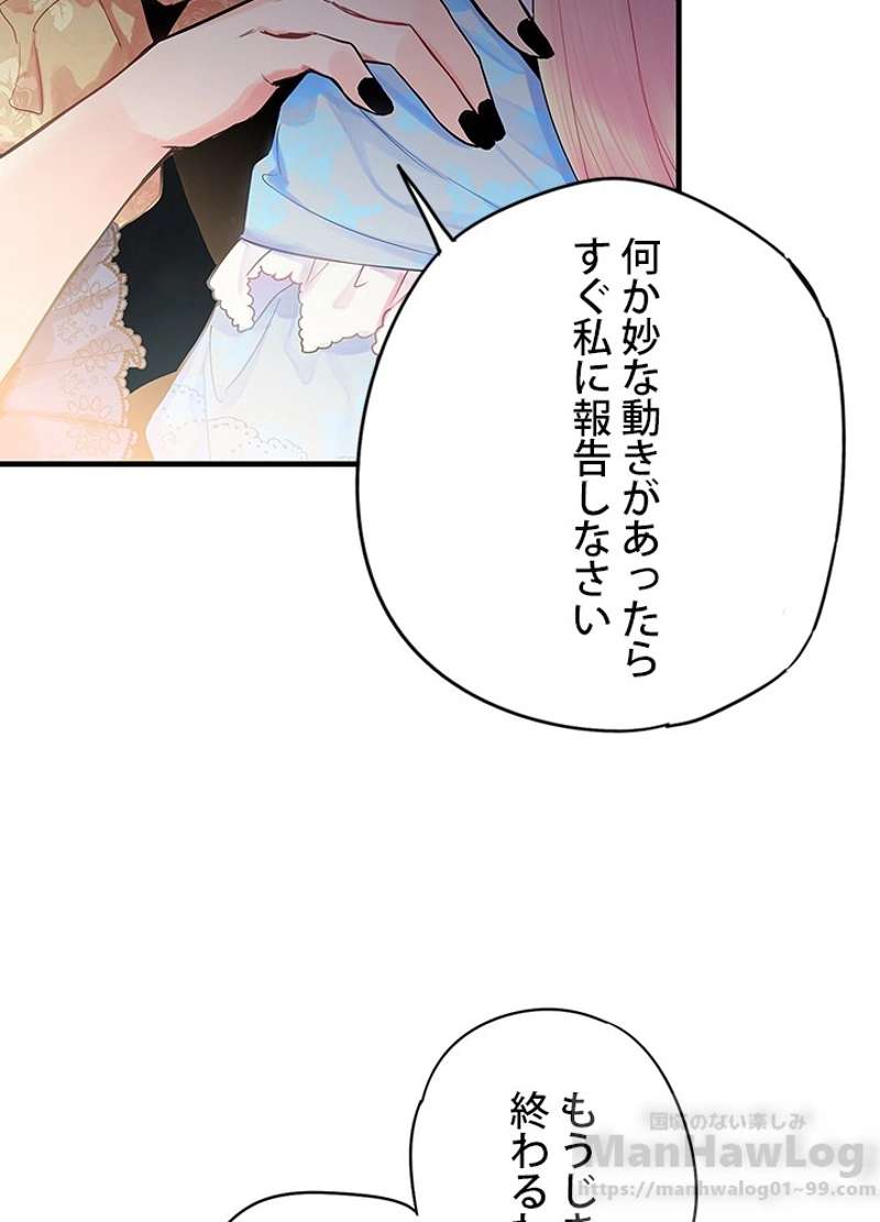 P53