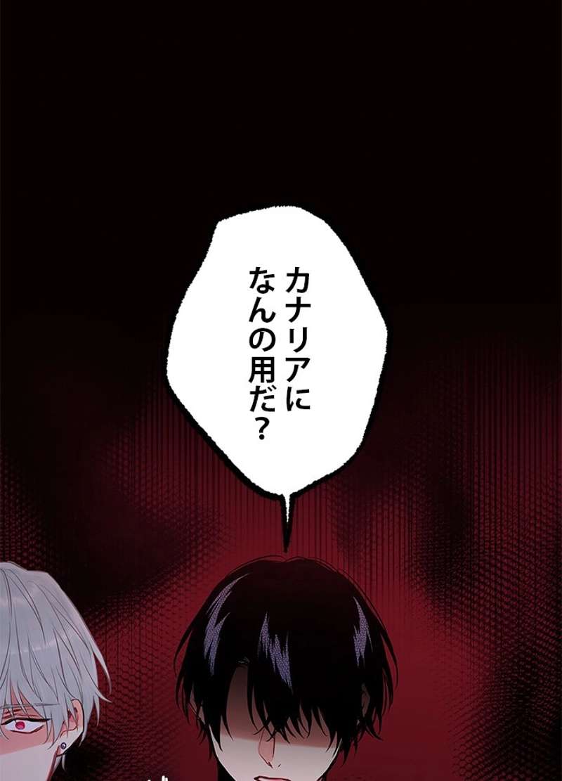P61