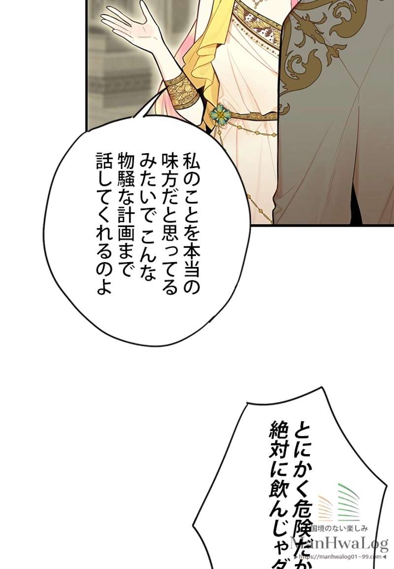 P61