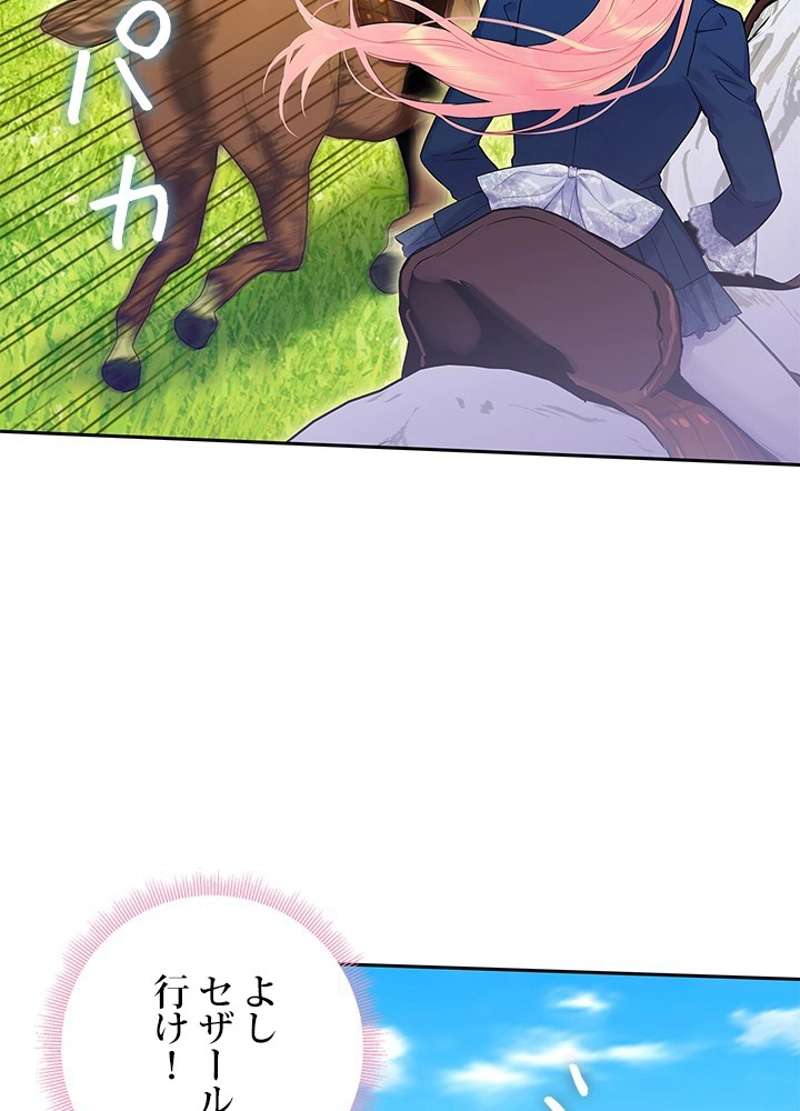 P66