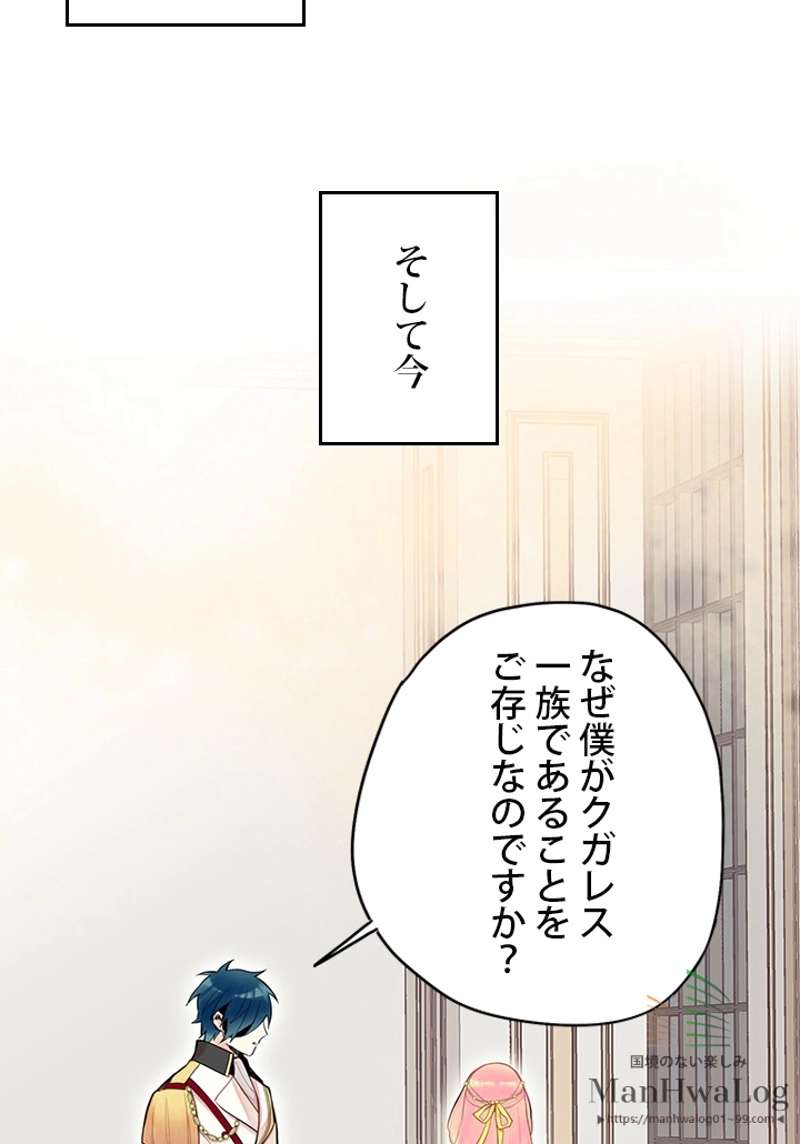 P41