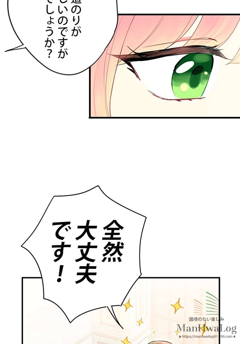 P53