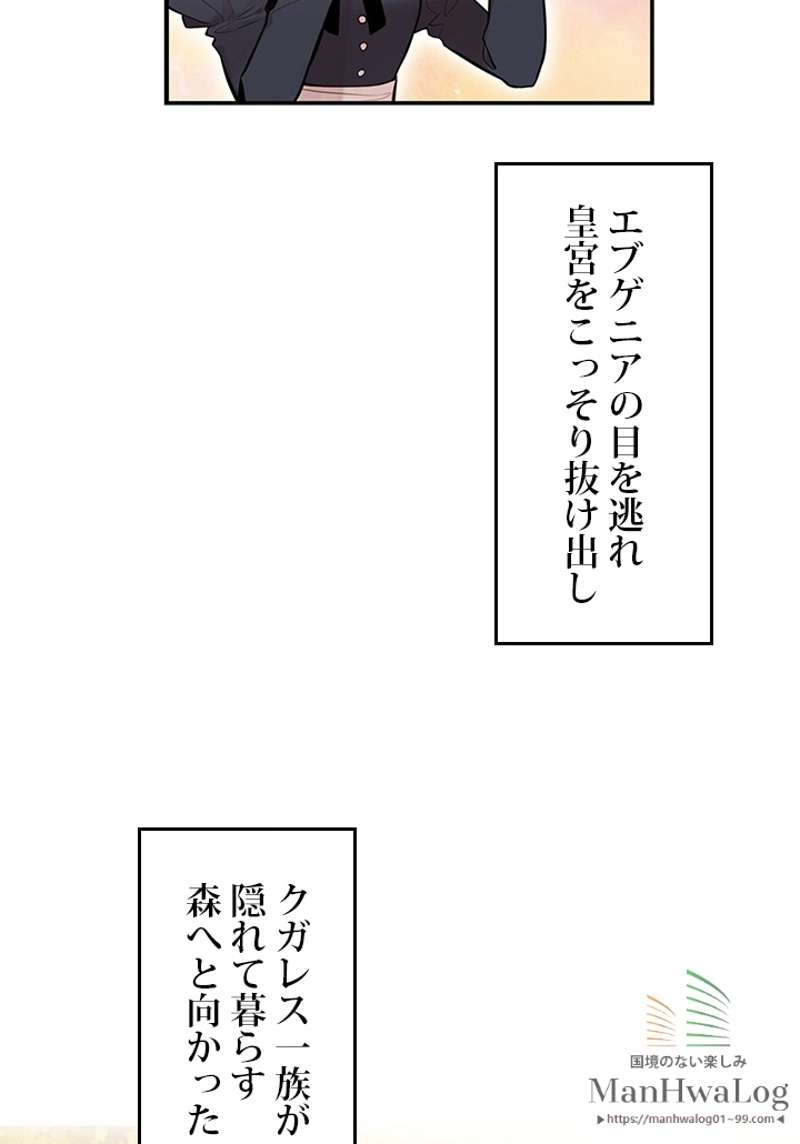 P58