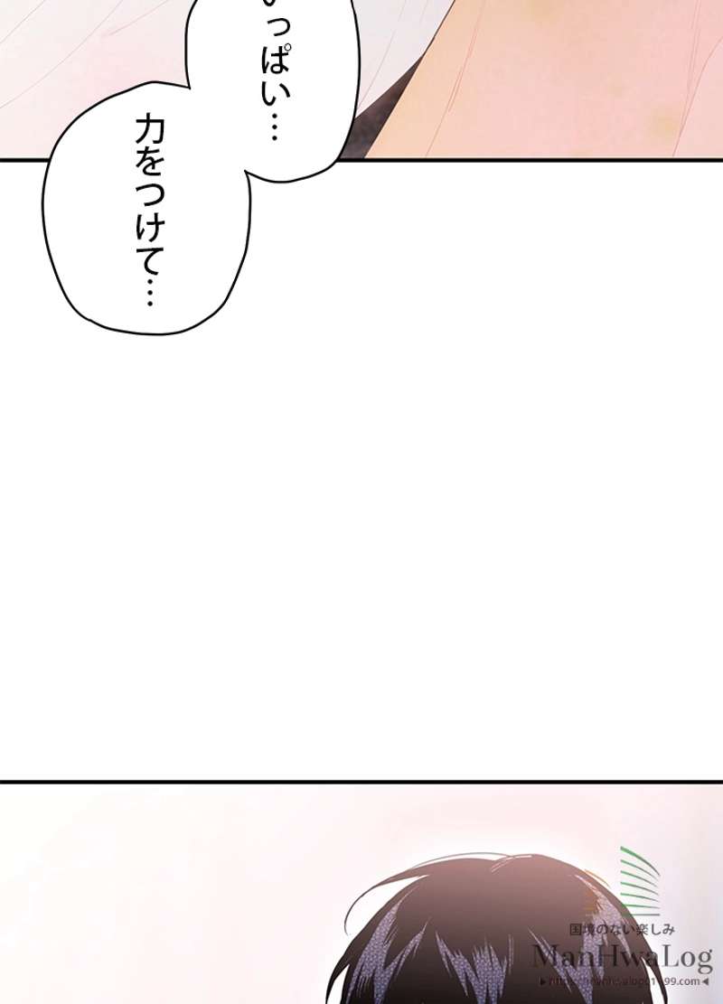 P61