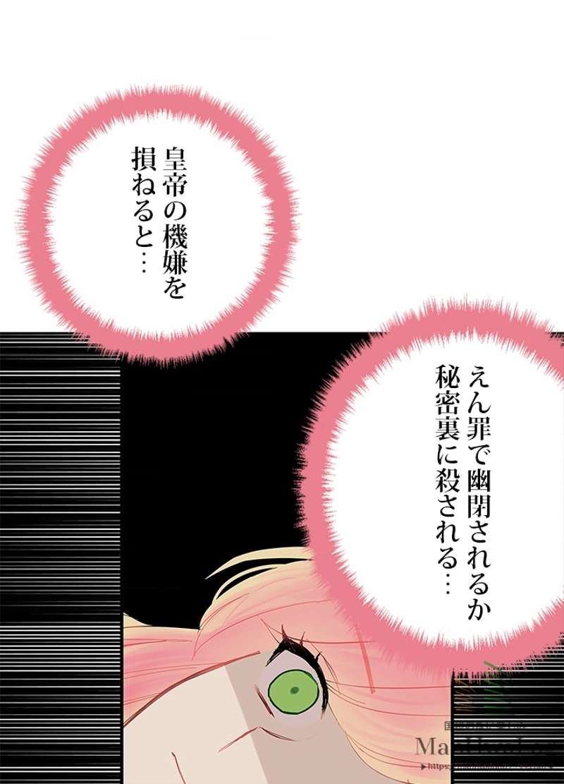 P66