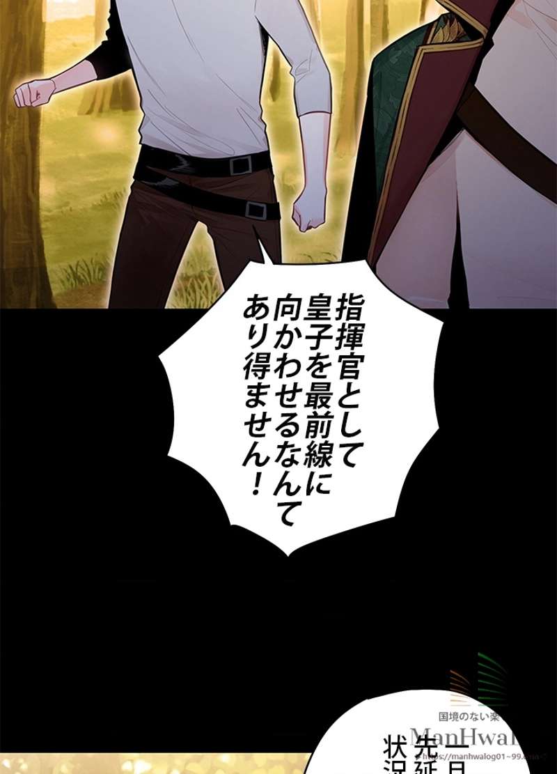 P53