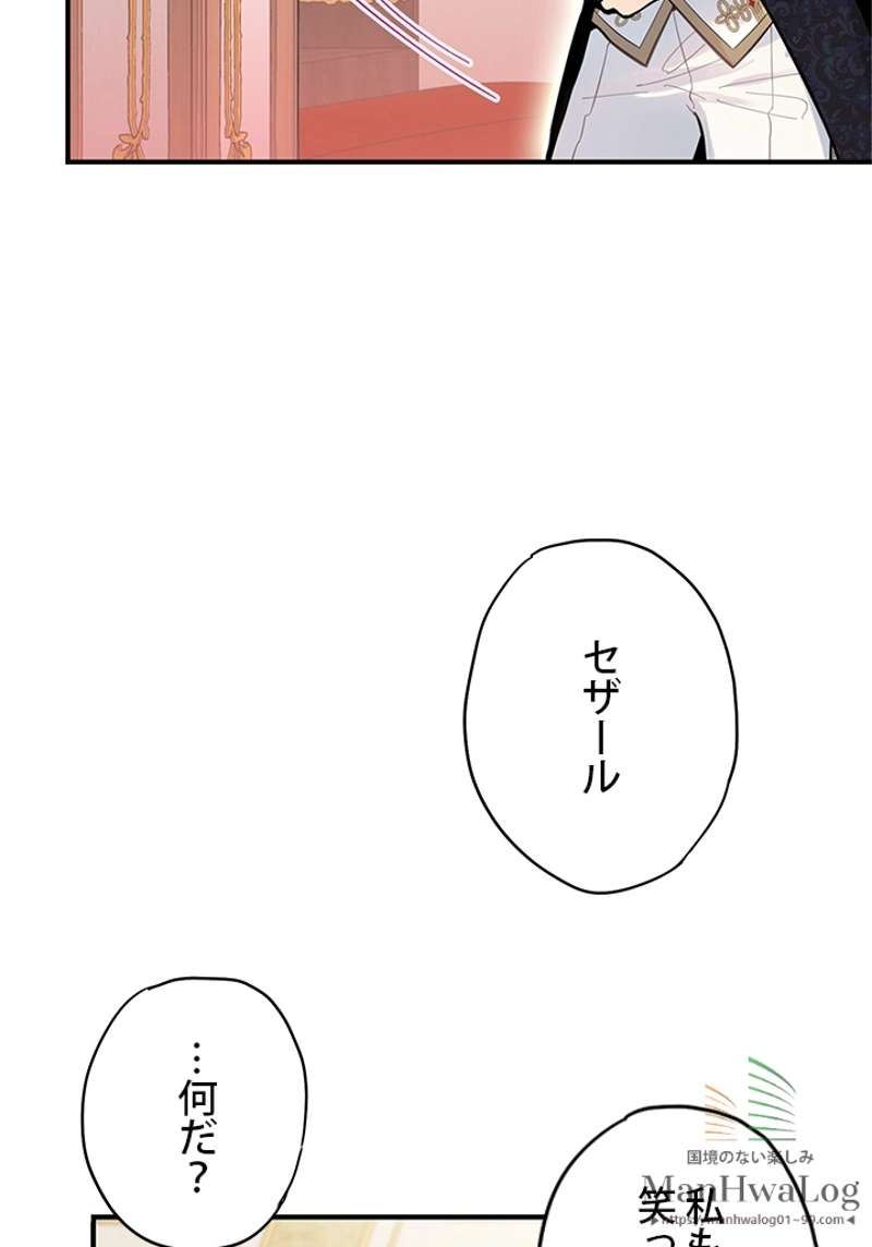 P61