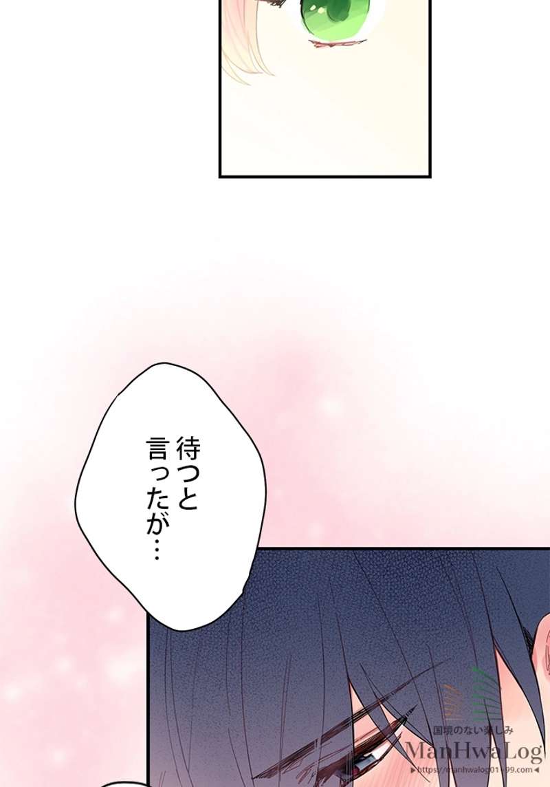 P65