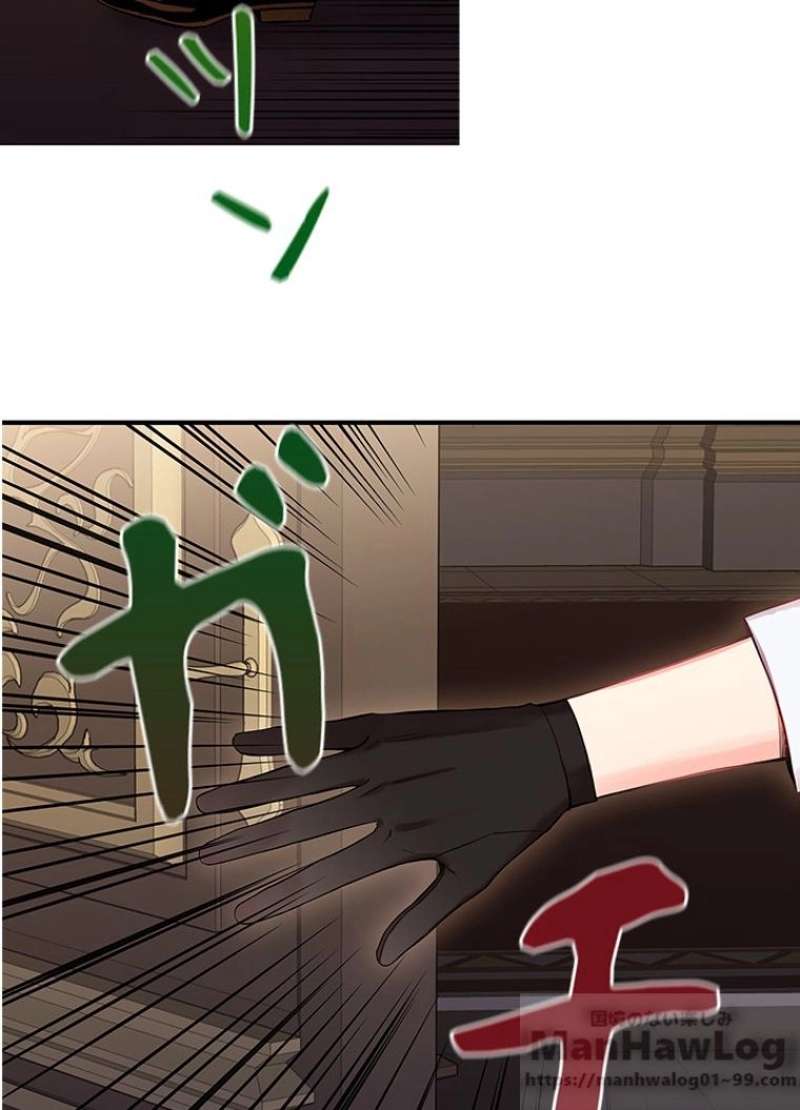 P53