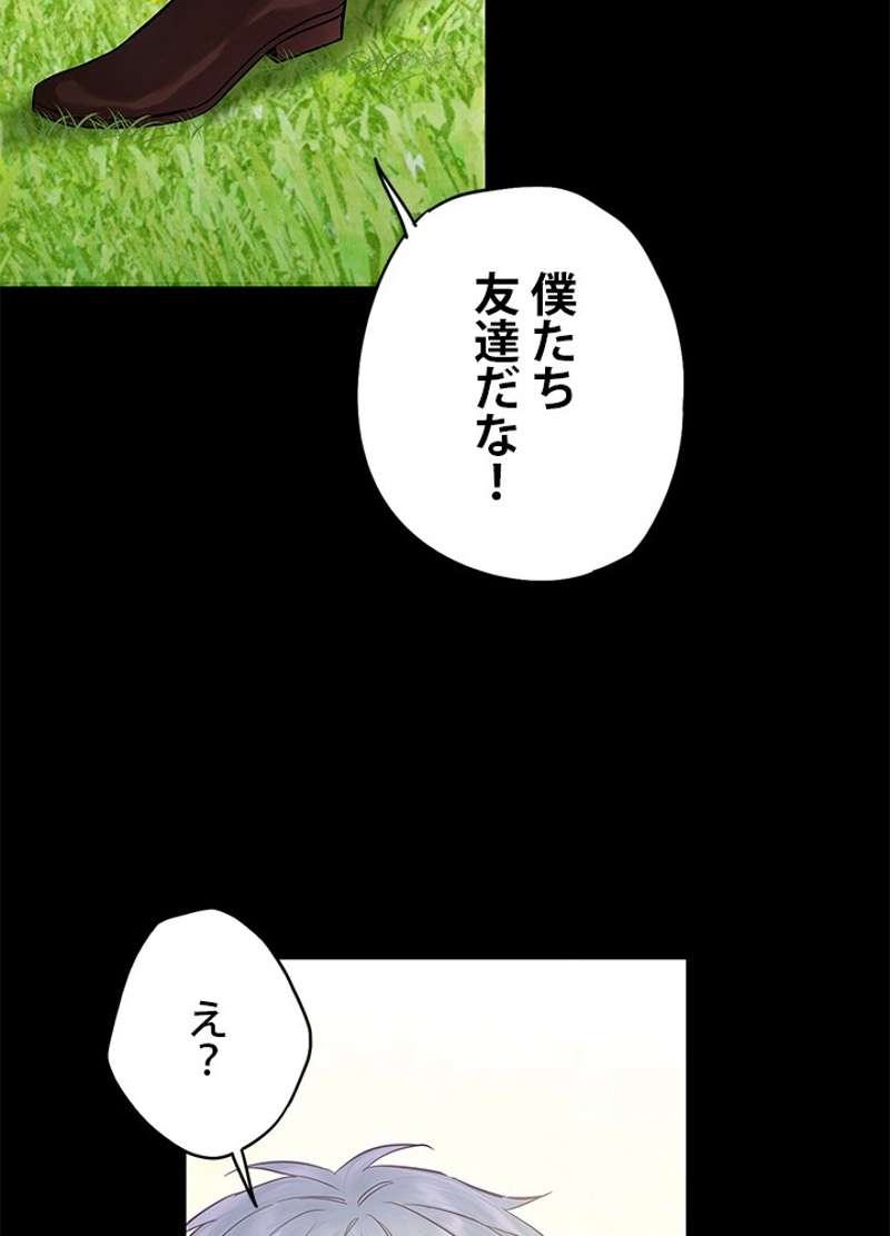 P63