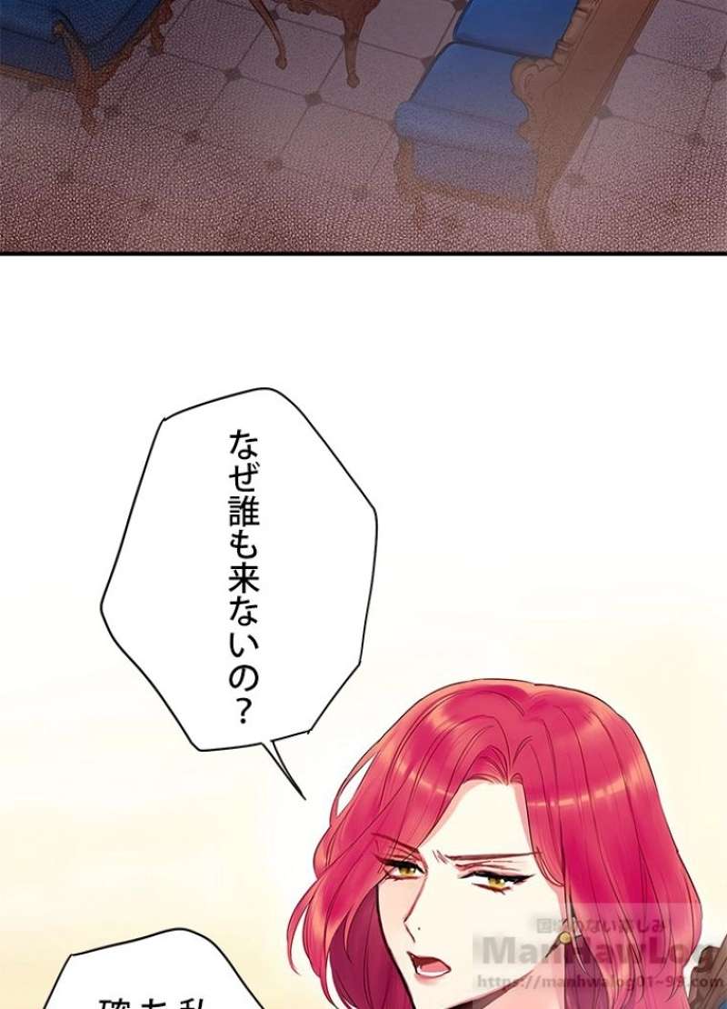 P53