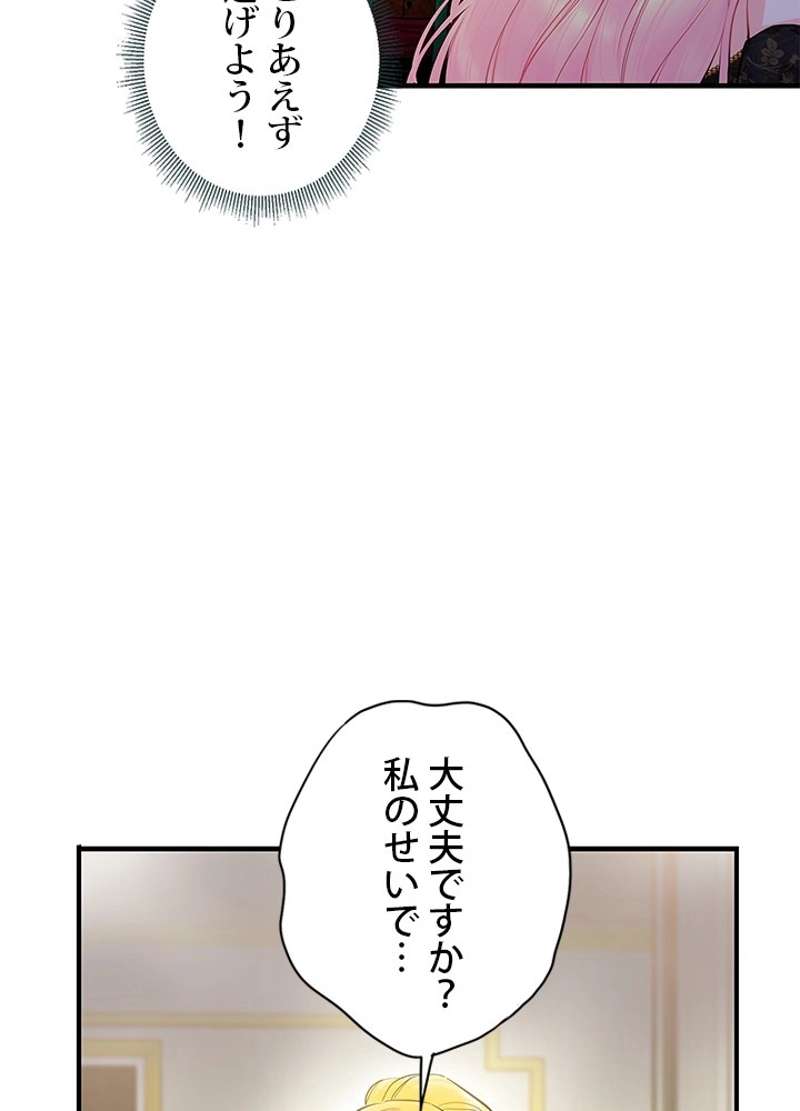 P66