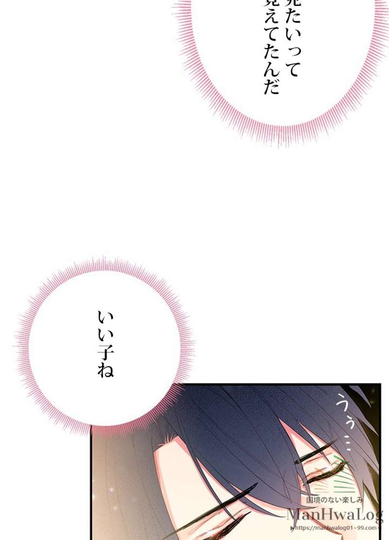 P64