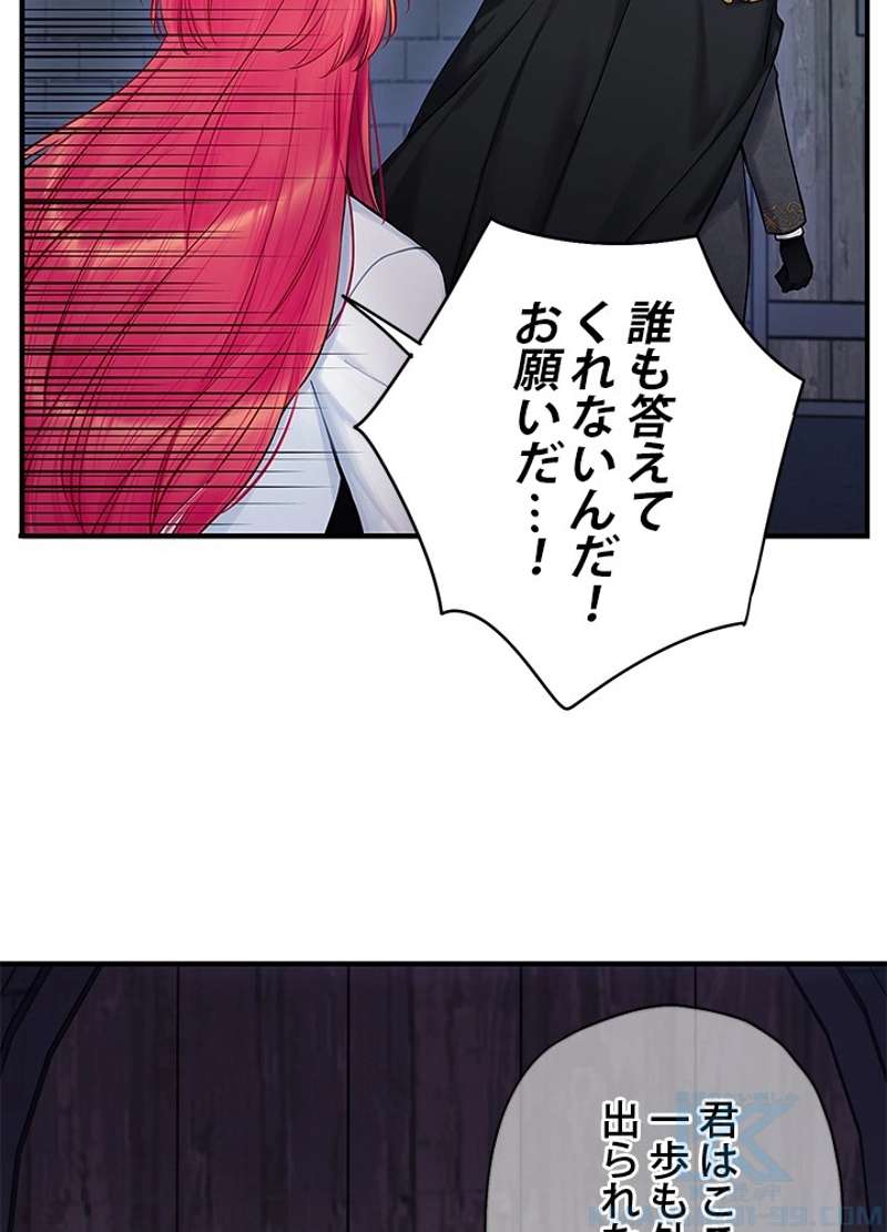 P53