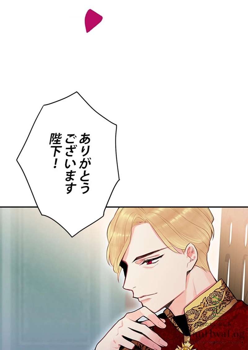 P64