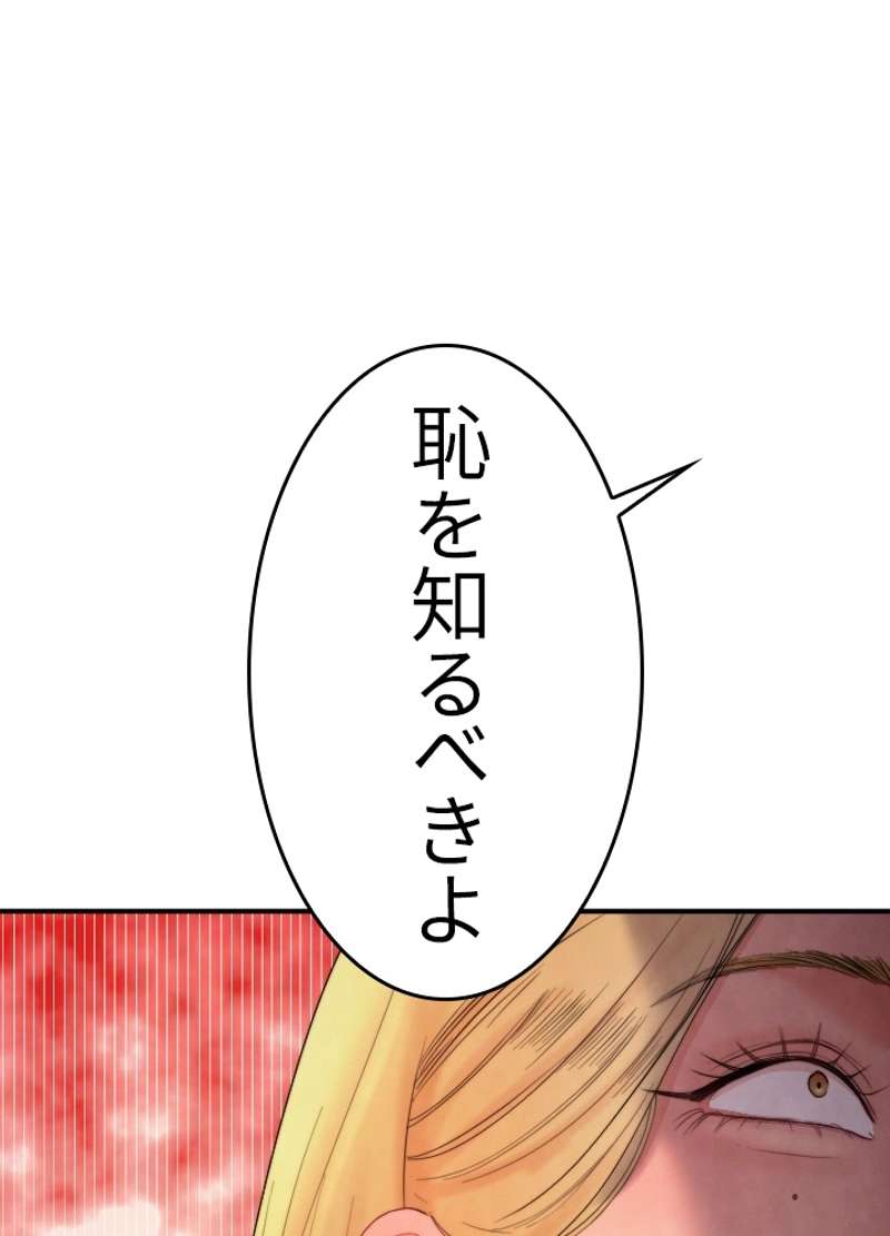 P66