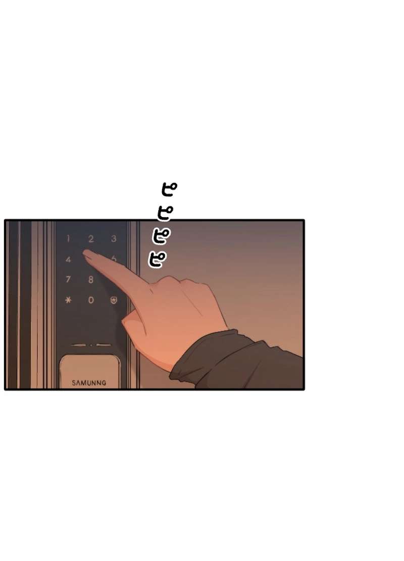 P65